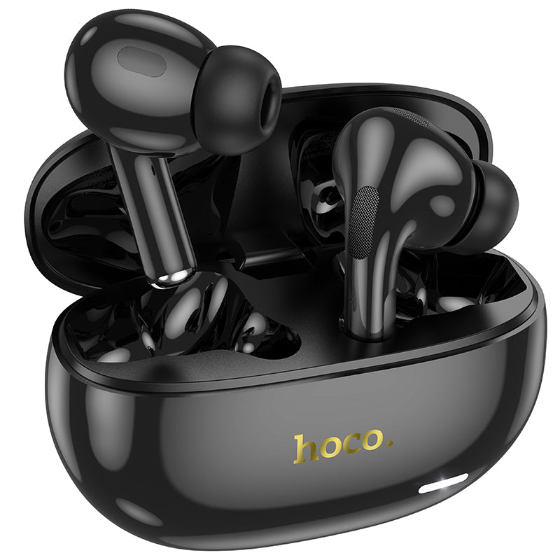 Black wireless earbuds with charging case on a transparent background, featuring the brand 'hoco'.