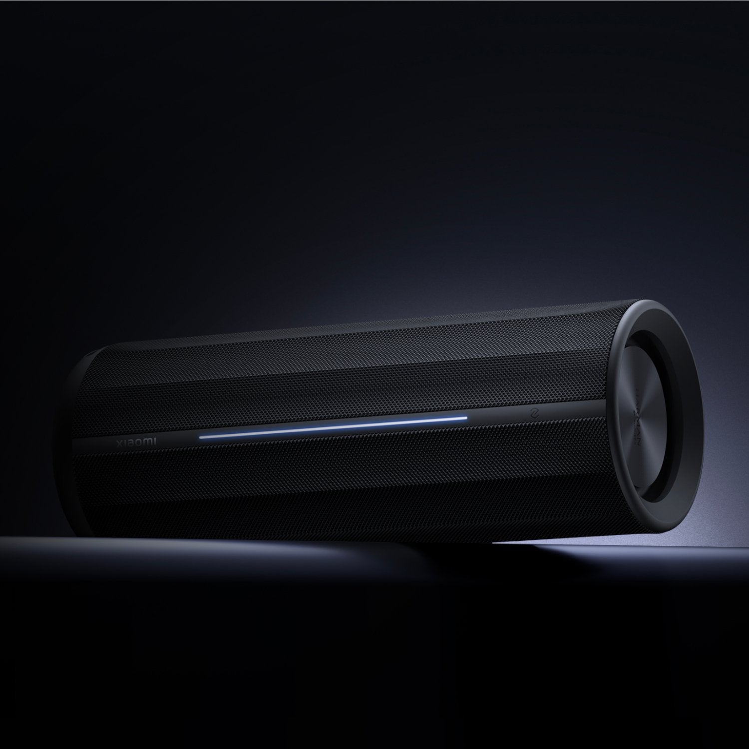 Xiaomi Bluetooth Speaker